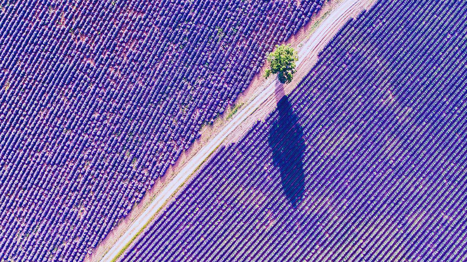 Business man speaking