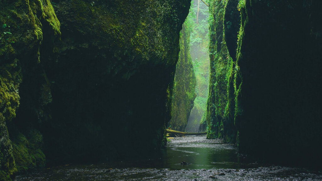 Infrastructure companies deliver the goods