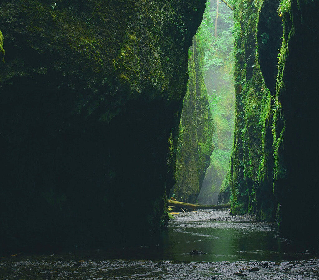 Infrastructure companies deliver the goods