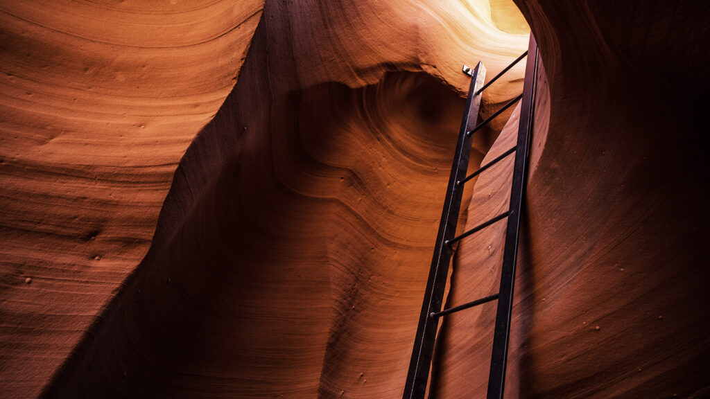 'Analyst vacuum' an enduring alpha opportunity in small caps