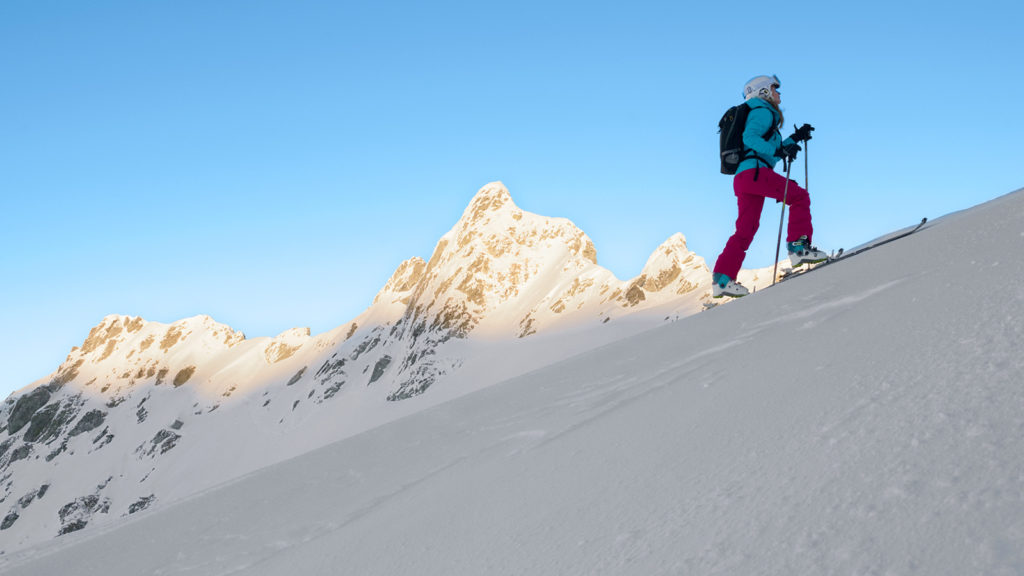 Rethinking fixed income after the year from hell