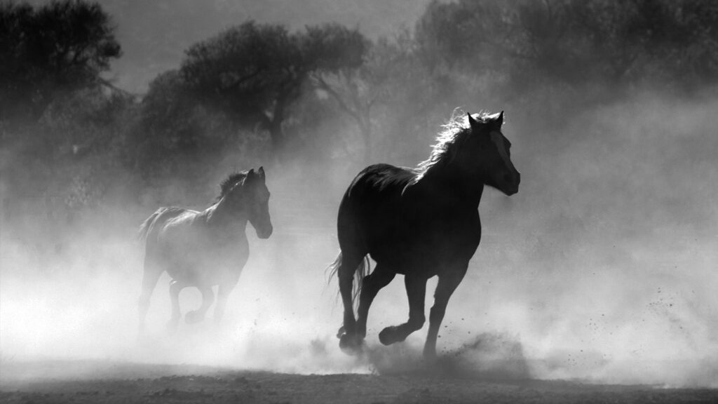 'Dramatic outflows' from bond funds in June: Calastone