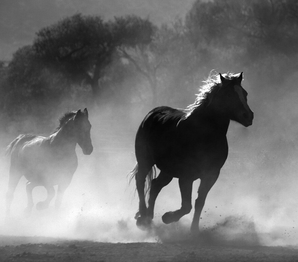 ‘Dramatic outflows’ from bond funds in June: Calastone