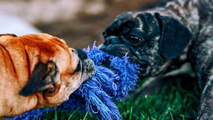 Alternative allocations: The insiders community analyses the trade-offs in 2025