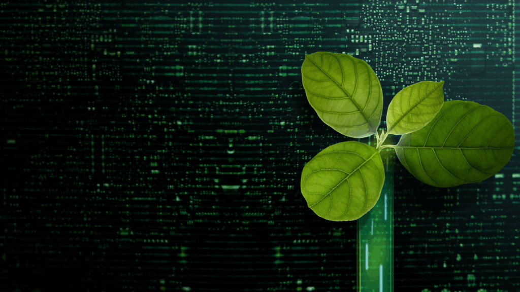 Education bonds an investment in a smarter future: Foresters