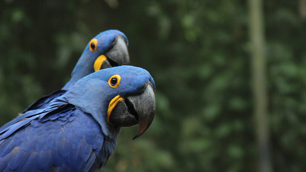 Out of the blue, and keeping clients in the black