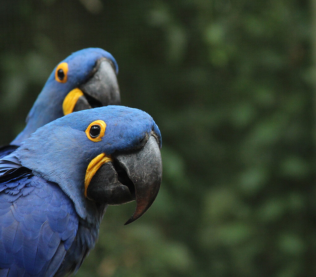 Out of the blue, and keeping clients in the black