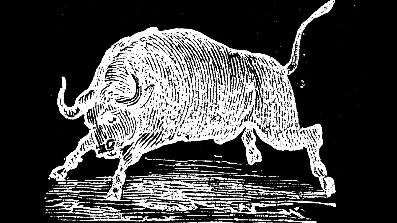 If you’re buying a bull, buy a young bull