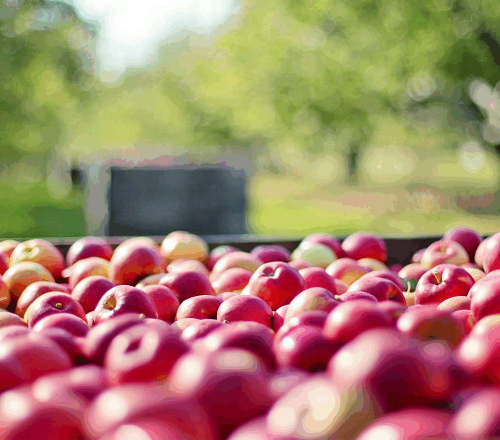 A few bad apples, or is the whole financial orchard at risk?