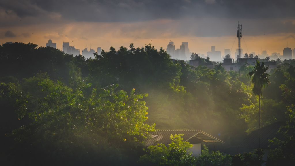 Gravitation of advisers to the city a function of business models: Wealth Data