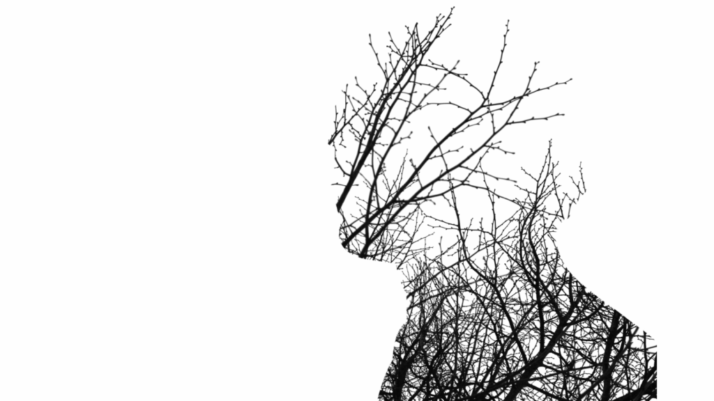 The unseen toll on financial advisers