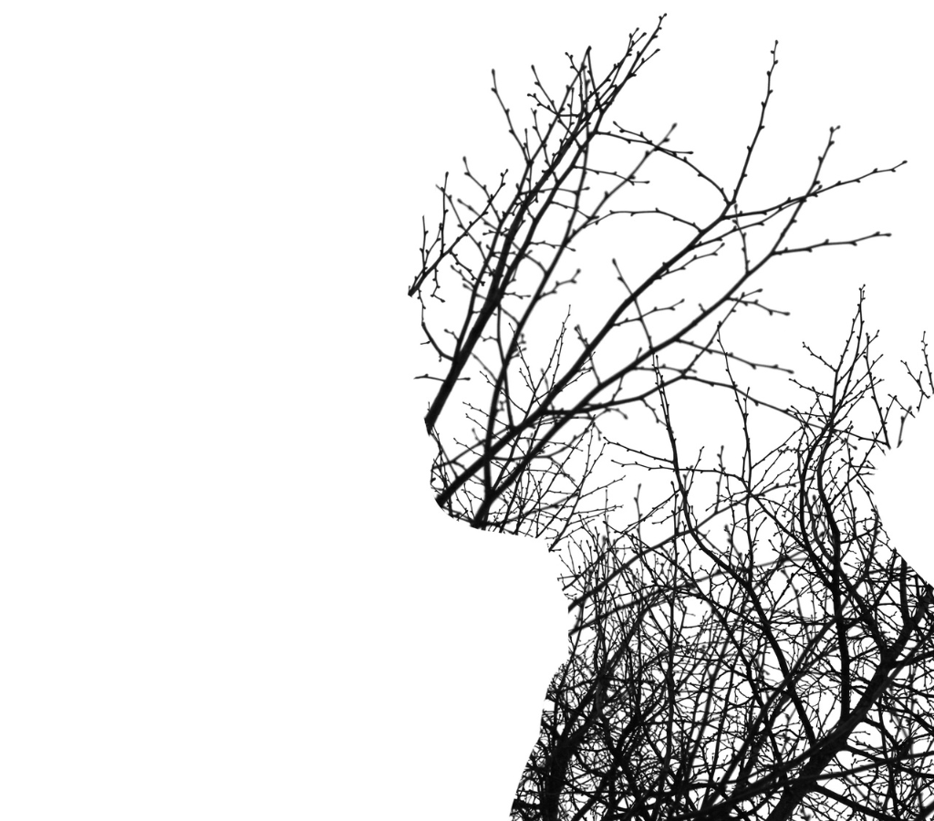 The unseen toll on financial advisers