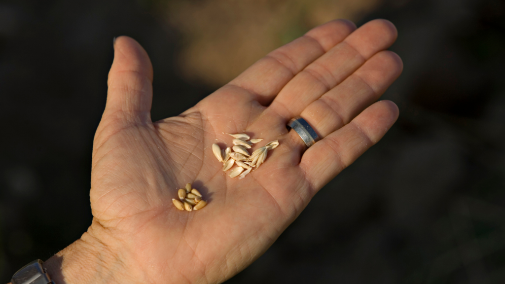 How to pick a better private credit provider