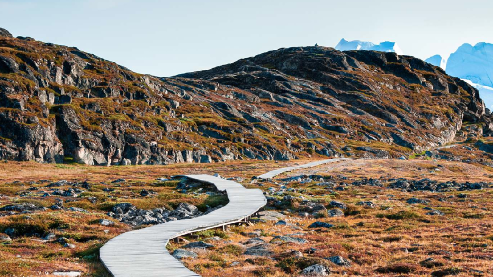 Business man speaking