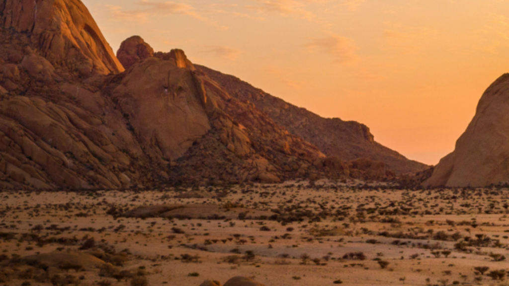 Sunrise on Venus: Preparing for the investment environment of the next decade