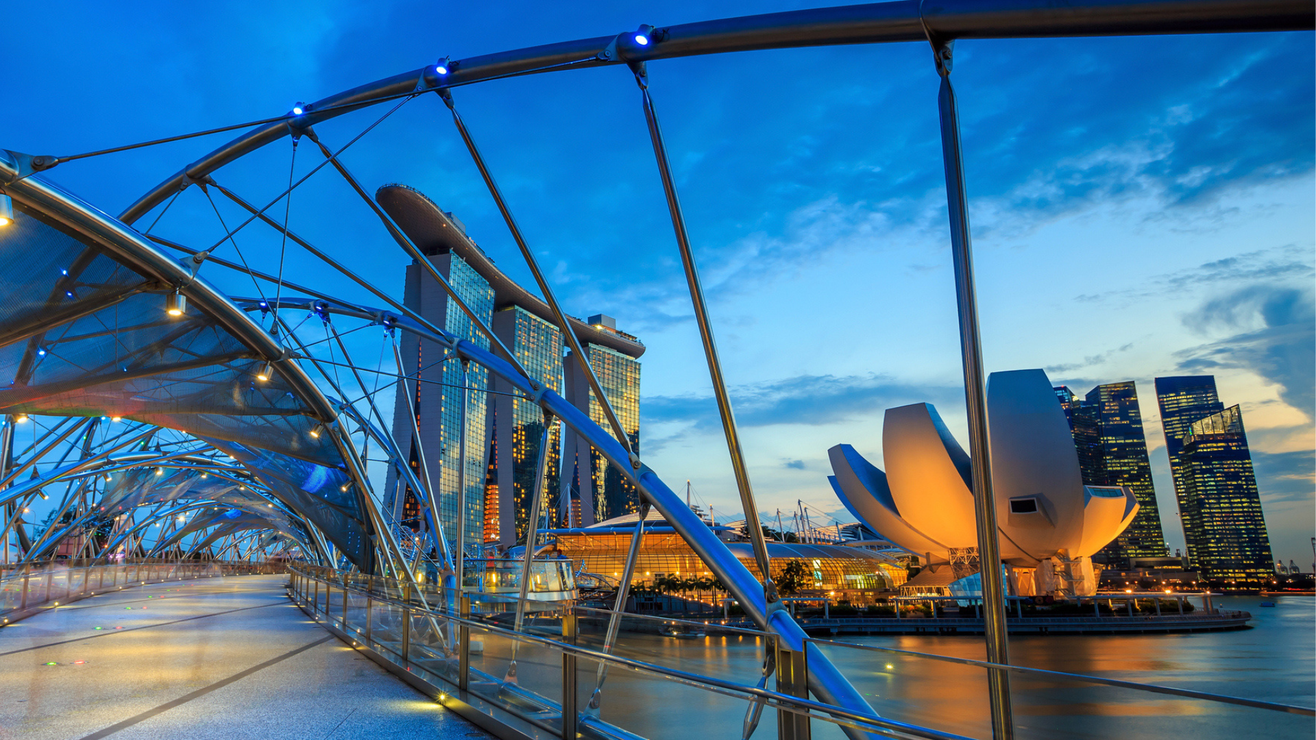 50 for 50: A journey through advice and investment