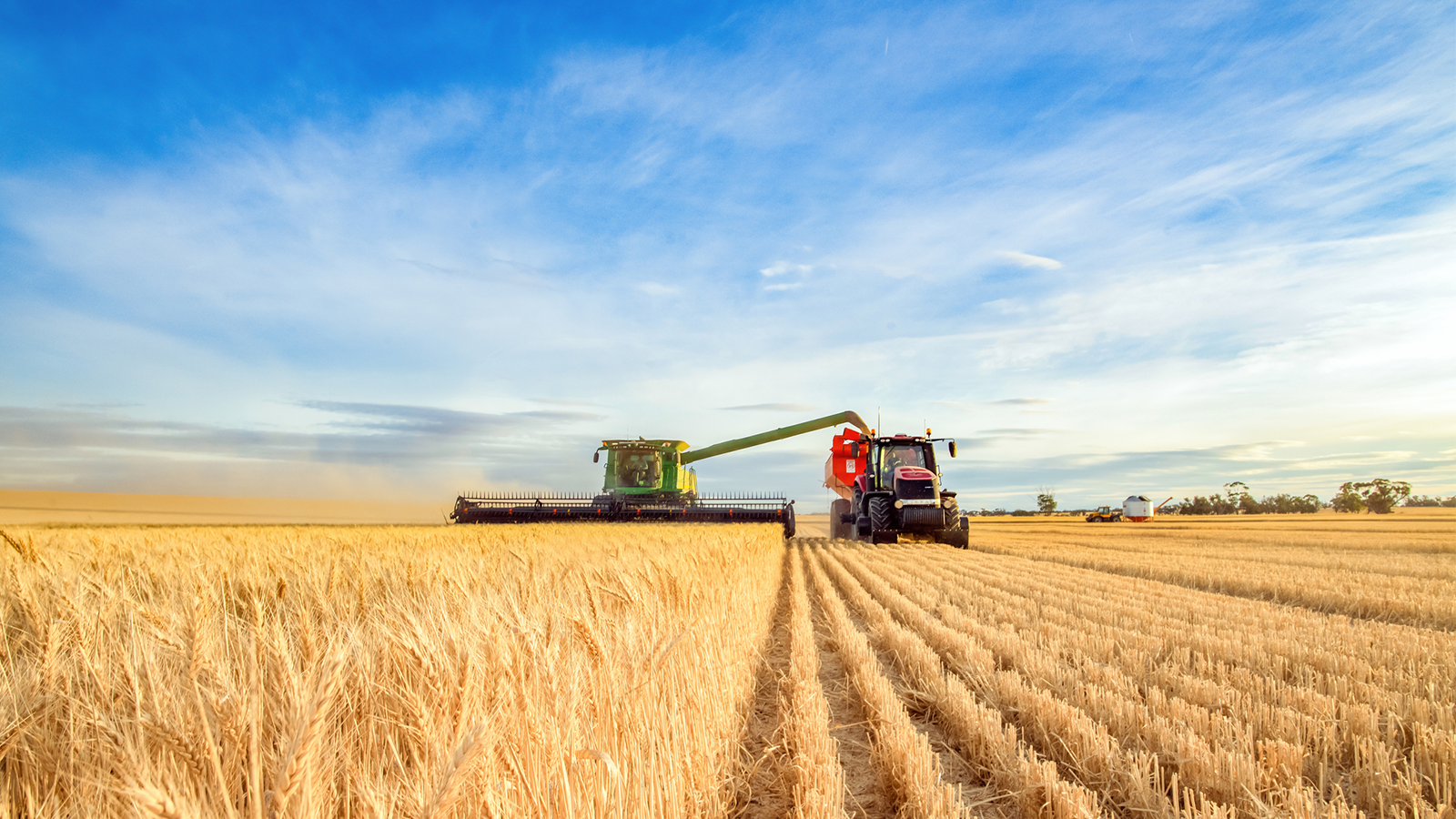 Business man speaking