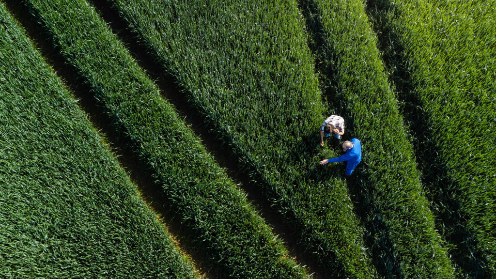 Biodiversity tools disagree: What Melbourne research means for adviser due diligence