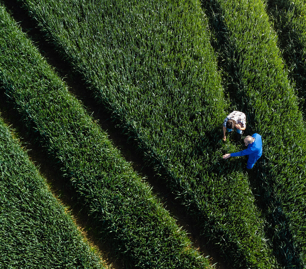 Biodiversity tools disagree: What Melbourne research means for adviser due diligence